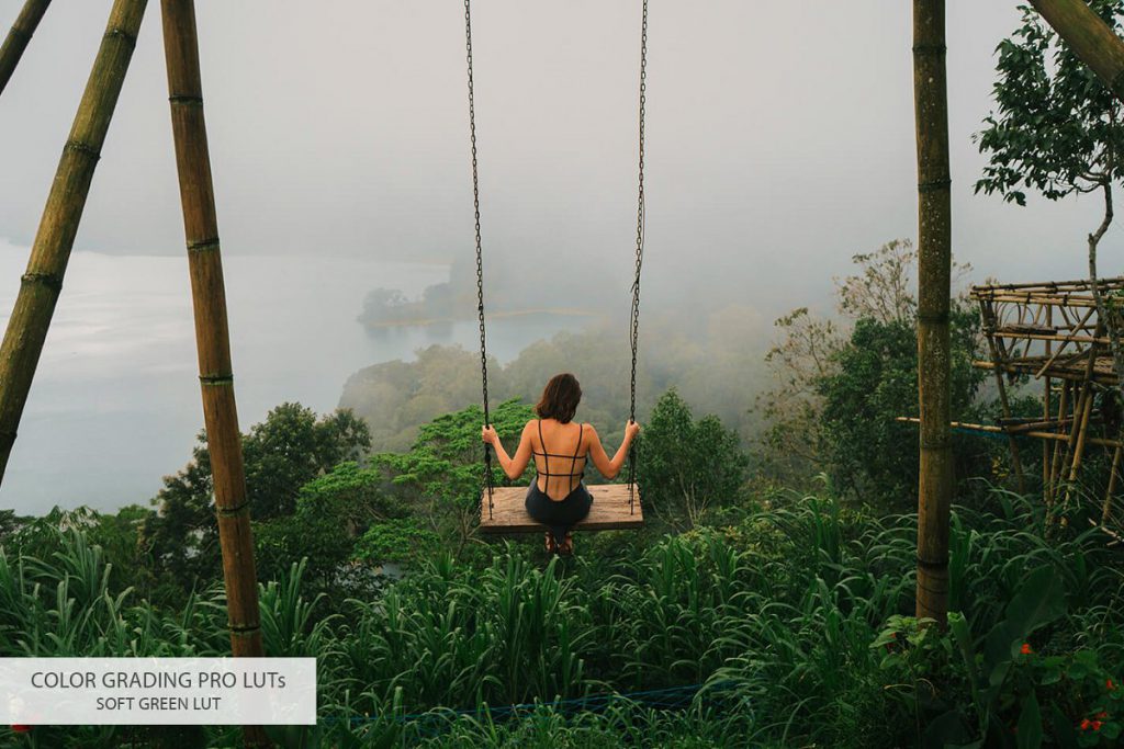 01 color grading luts soft green d0bfd0bed181d0bbd0b5 1024x683 1