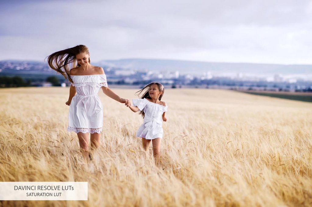 05 davinci resolve luts saturation d0bfd0bed181d0bbd0b5 1024x681 1
