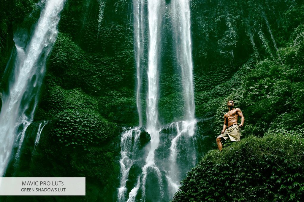 09 mavic pro luts green shadows d0bfd0bed181d0bbd0b5 1024x681 1