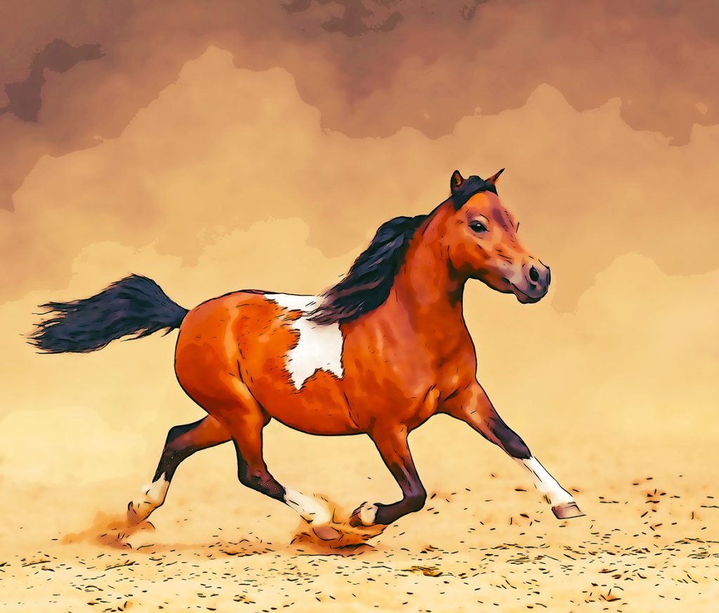 0_7-1024x874-1 0 7 1024x874 1