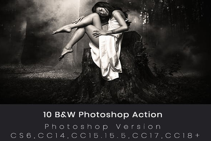 10 bw photoshop action label