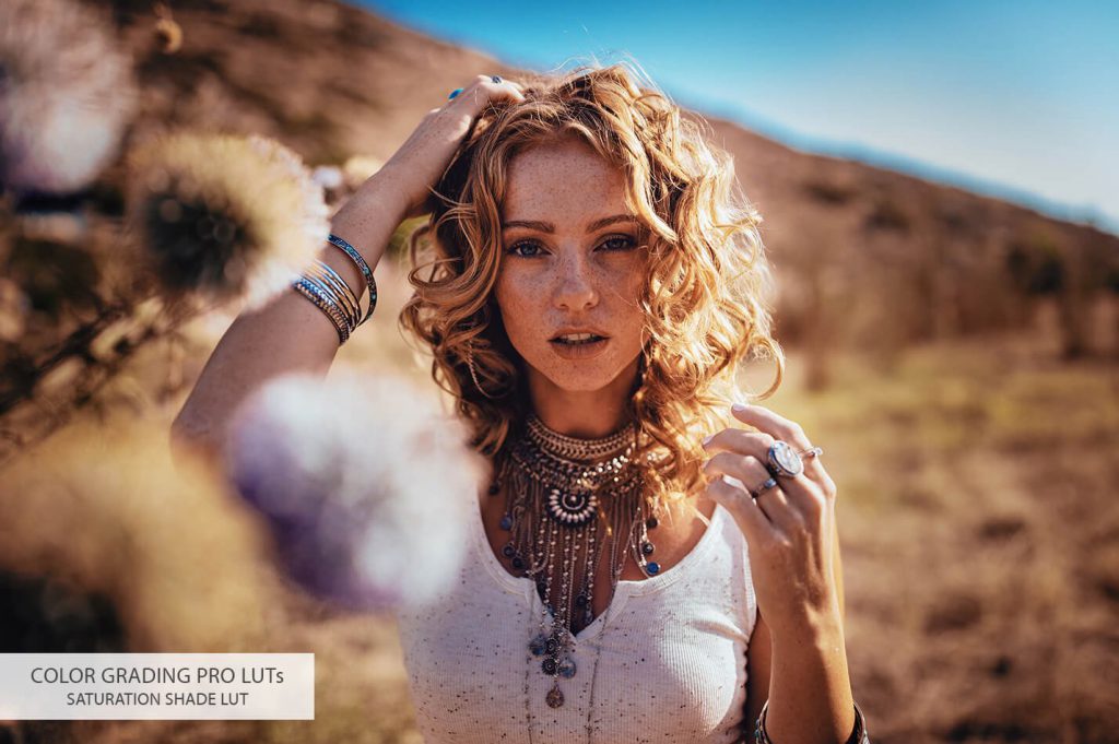 10 color grading luts saturation shade d0bfd0bed181d0bbd0b5 1024x681 1