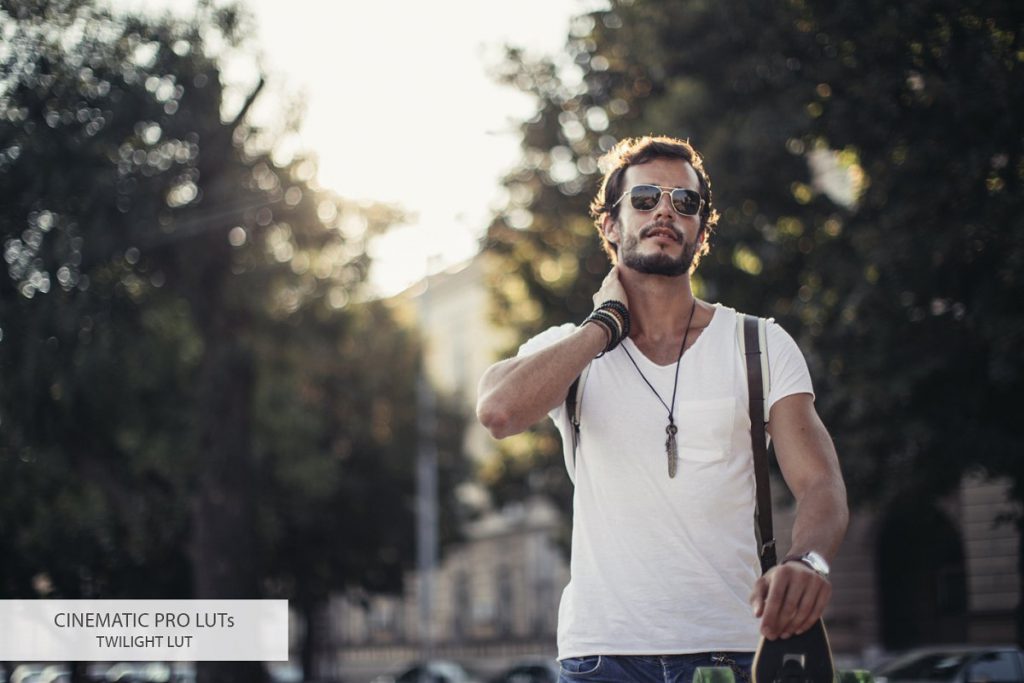 13 cinematic luts twilight 16 1024x683 1