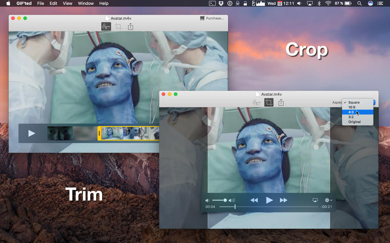 1519303965 gifted 02