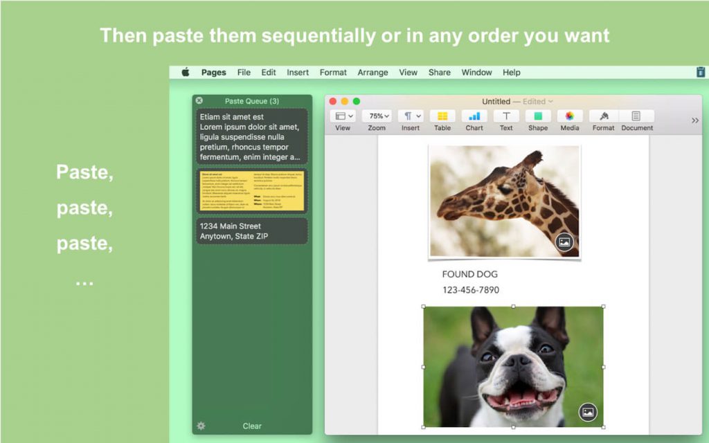 1598193354_paste-queue_02-1024x640-1 1598193354 paste queue 02 1024x640 1