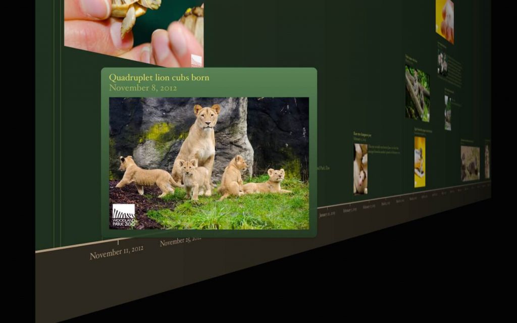 1605451083 timeline 3d 01 1024x640 1