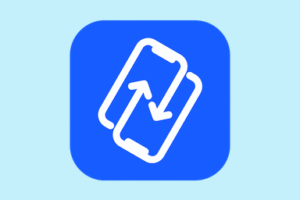 1608447650 phonetrans