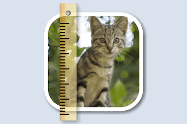 1613416341 sizemypics