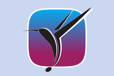 1622998616 colibri 2