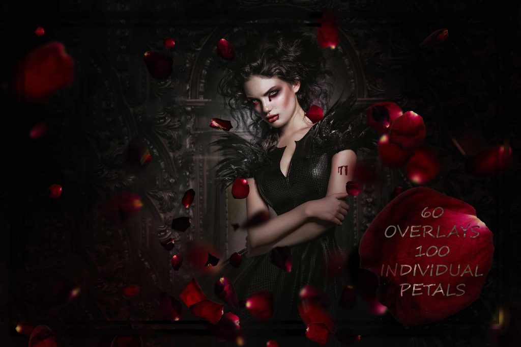 1 blood petals exc nycor 1024x681 1