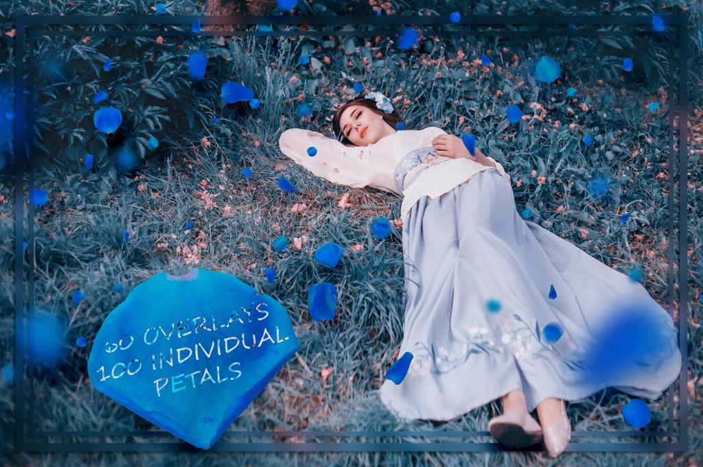 1 blue petals 1024x681 1