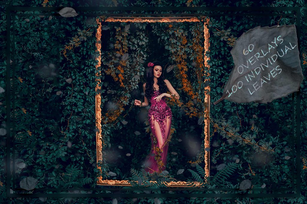 1 blush leaves exc hrbii 1024x681 1