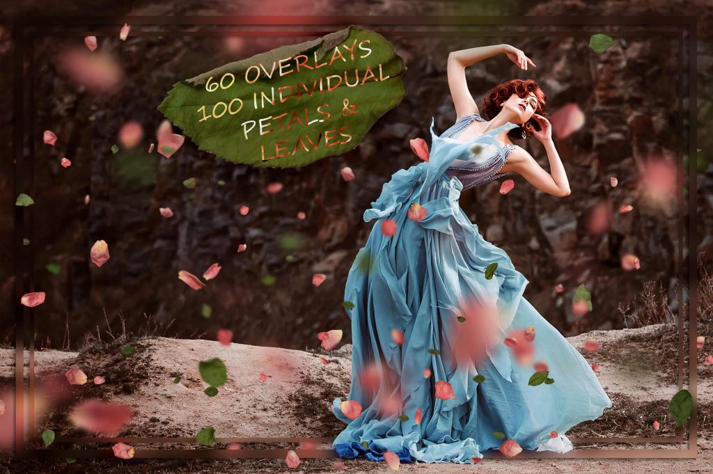 1 cute petals and kou3n 1024x681 1