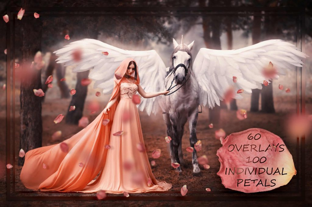 1 cute petals fair elhcs 1024x681 1