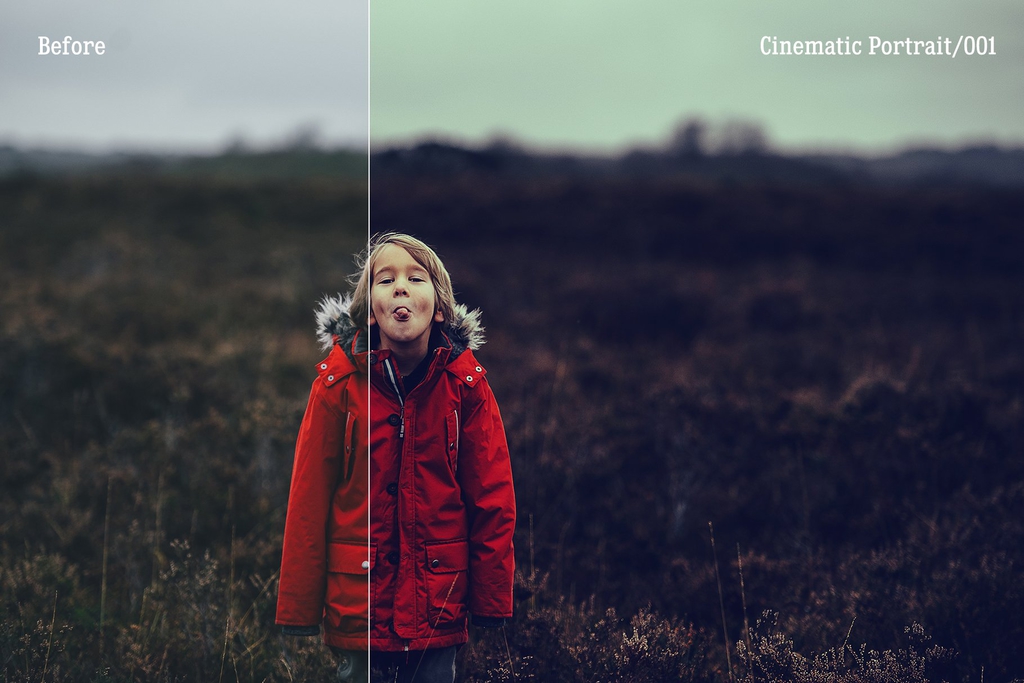 300 portraiture photoshop actions acr collection 5