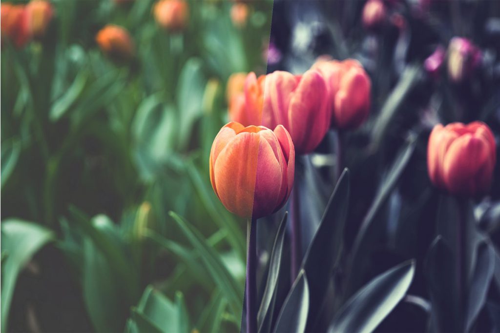 40 modern photoshop actions 1 1024x683 1