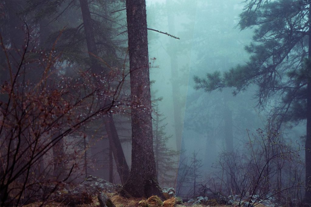 40 modern photoshop actions6 1024x683 1