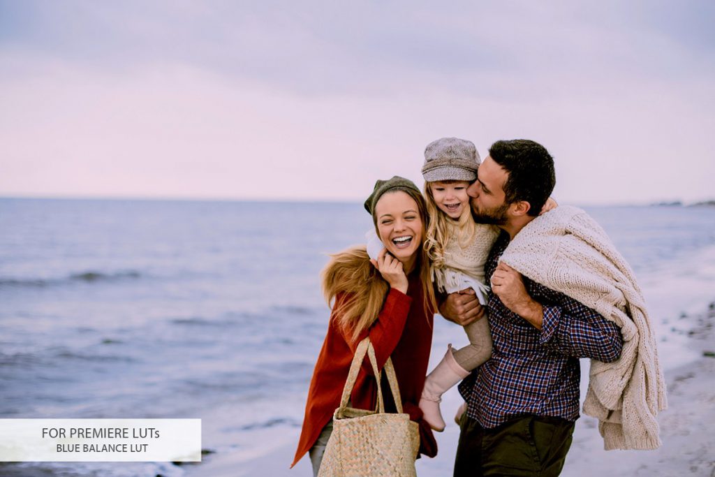 4023574 premiere luts 2 1024x683 1