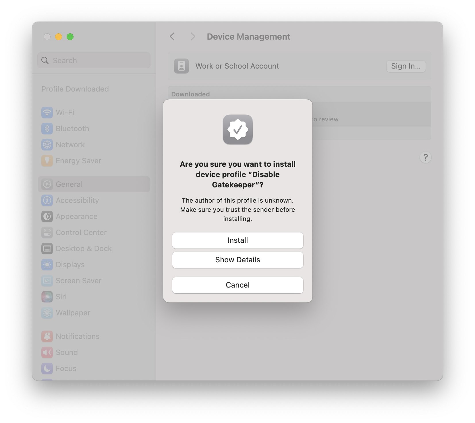 453274104 8957002380982962 5550833443742883548 n