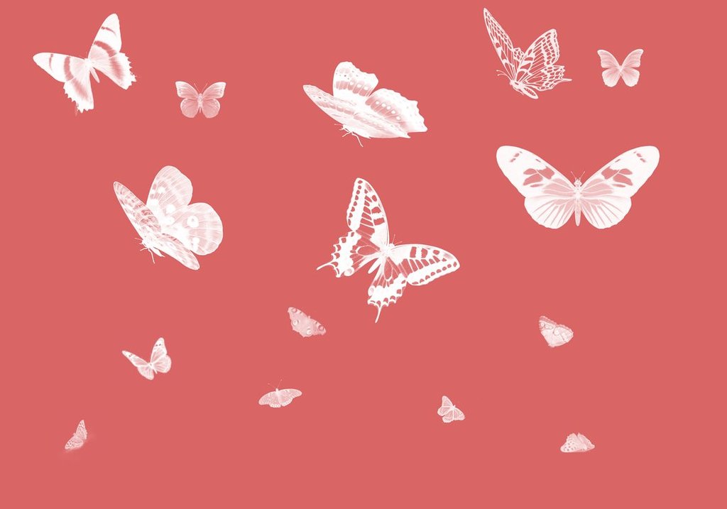 4 1080x a506c4b1 dde7 4fce bf85