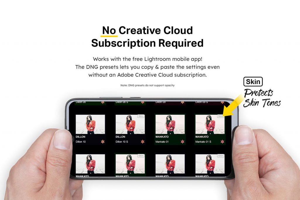 50 ashes lightroom presets and luts 8 1024x683 1
