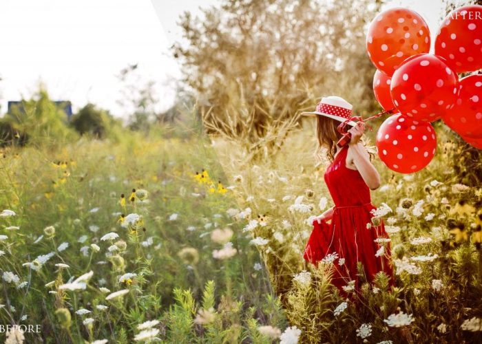 700 amazing lightroom presets bundle11