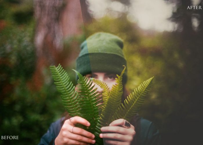 700 amazing lightroom presets bundle7