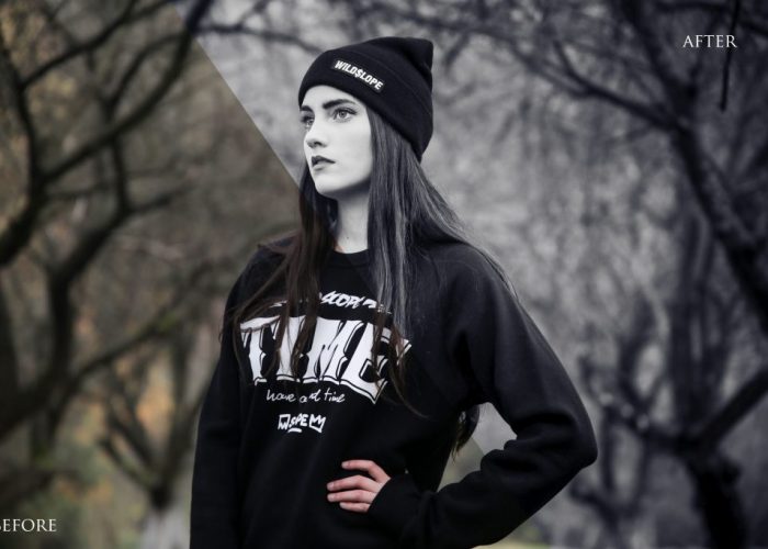 700 amazing lightroom presets bundle9