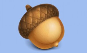 acorn mac