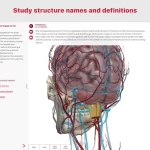 anatomy-and-physiology4-150x150-1 anatomy and physiology4 150x150 1