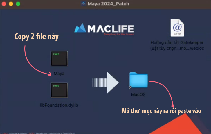 annotation 2023 04 20 165948