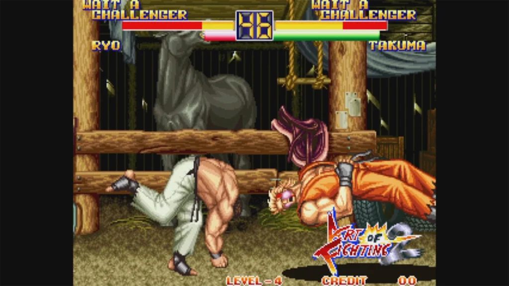 art of fighting 24