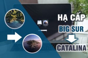 big sur catalina label 830x553 1