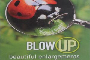 blow up plugin mac