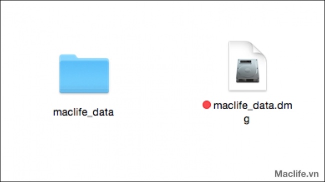cach dacca3cc86t macca3cc82t khacc82cc89u cho thucc9b mucca3c trecc82n mac