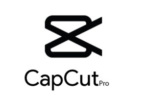 capcut pro 1 nam