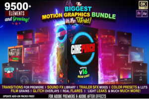 cinepunch v16 download