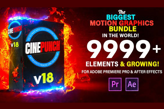 cinepunch v17