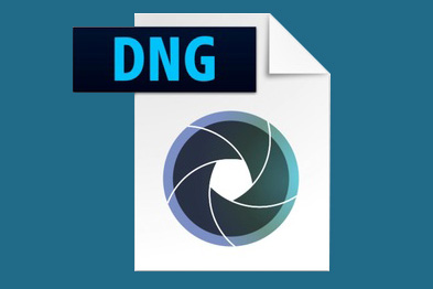 dng logo