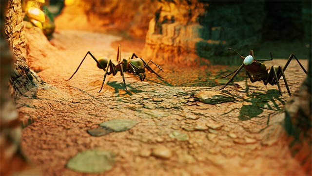 empires of the undergrowth loai kien