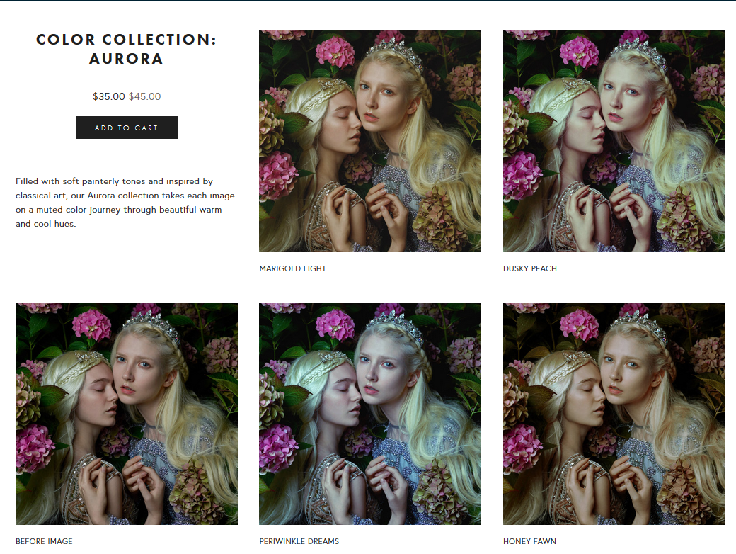 fineartactions e28093 color collections full bundle 3