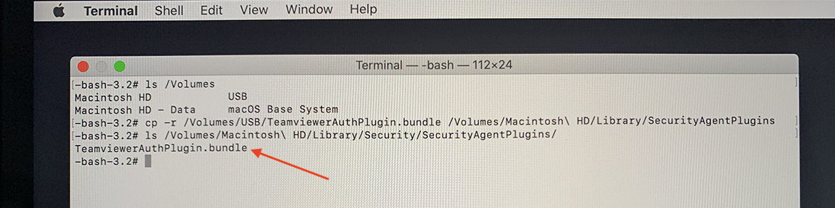 fix securityagentplugin teamviewer
