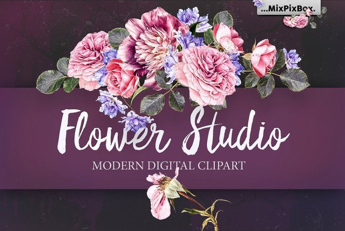 flower studio cover