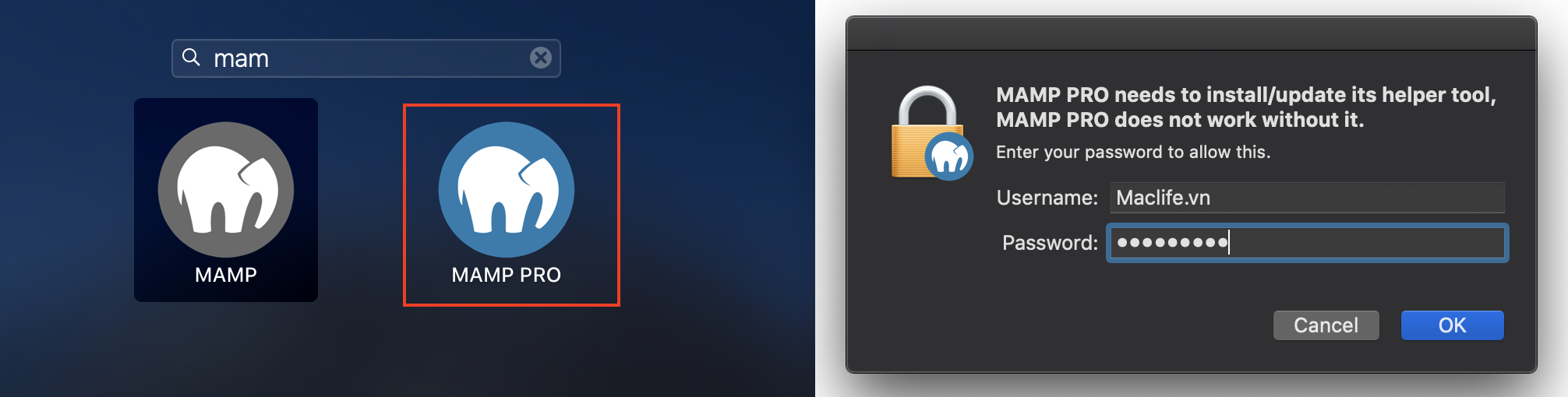 hd cai dat va su dung mamp pro 2 5