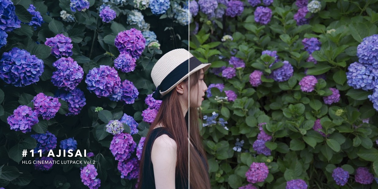 hlg cinematic lutpack bundle 32 luts2