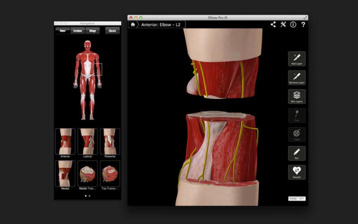 human-anatomy-atlas human anatomy atlas