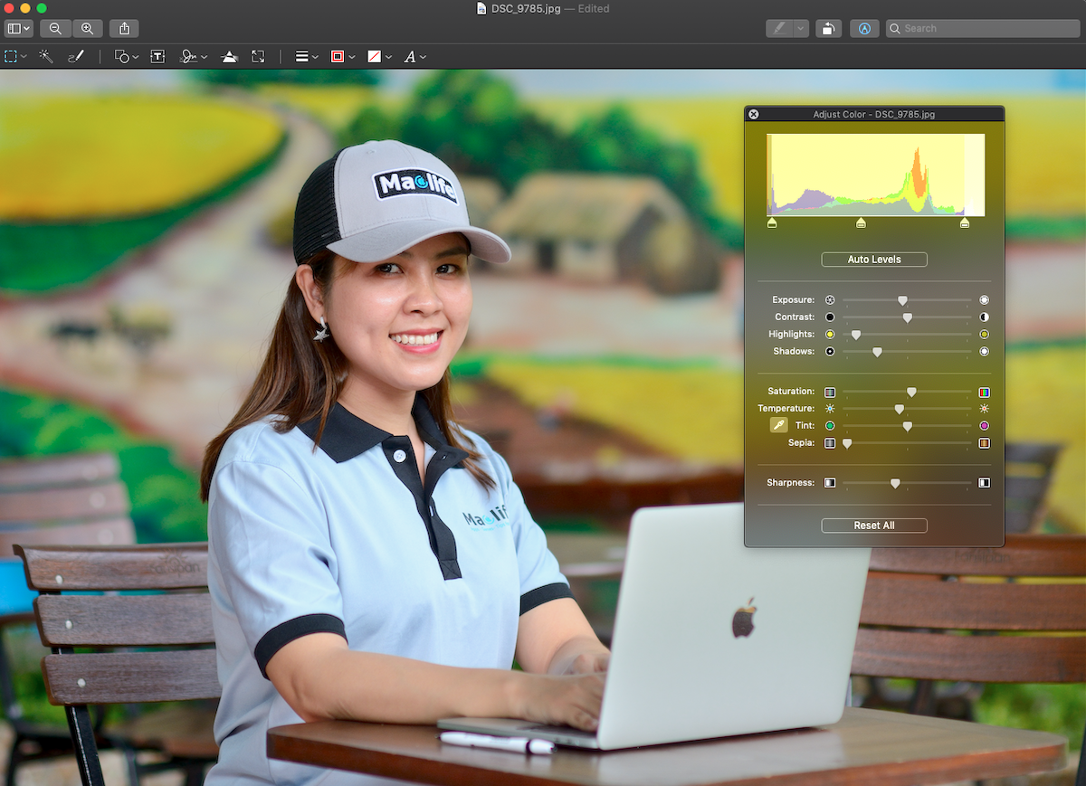 huong dan chinh anh voi preview5