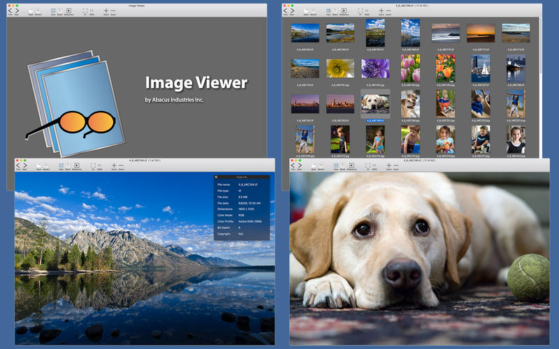 image viewer