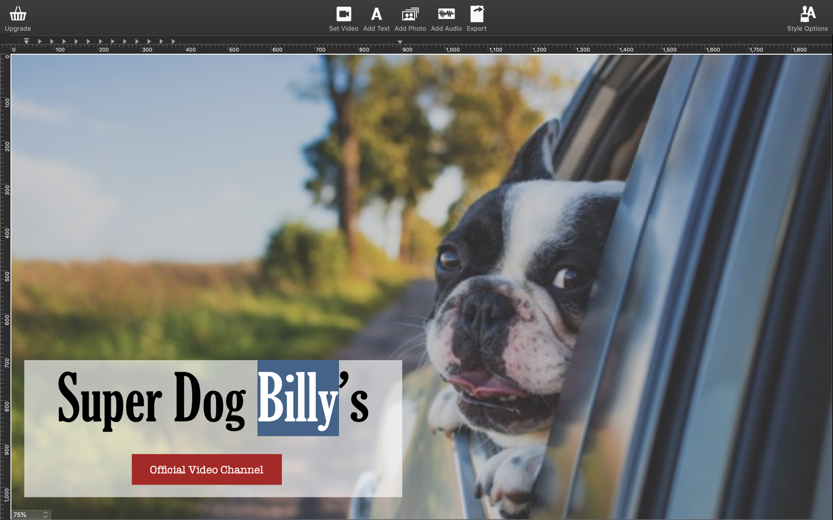 itsmine video watermark maker pro