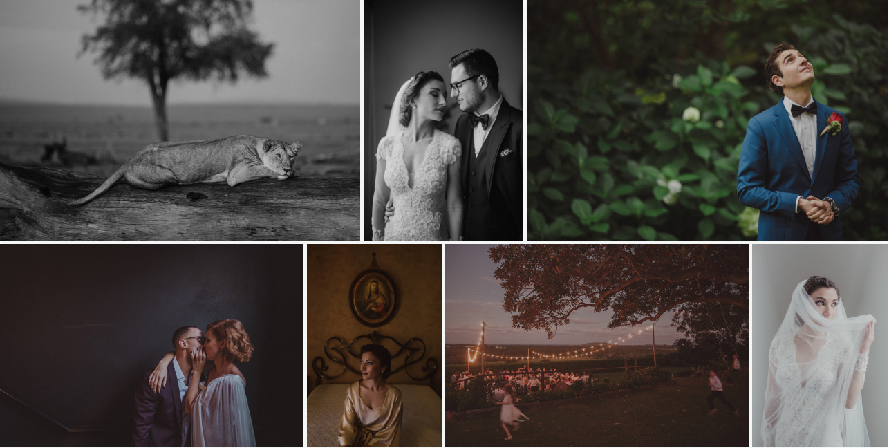 jonas peterson lightroom acr presets6